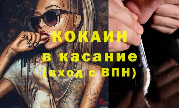 трава Белокуриха