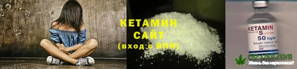 трава Белокуриха