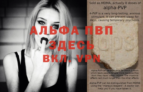 трава Белокуриха