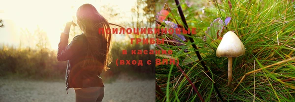 молекула духа Белоозёрский