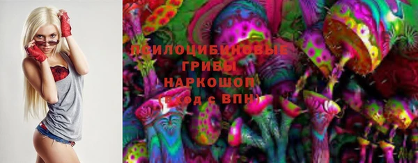 молекула духа Белоозёрский