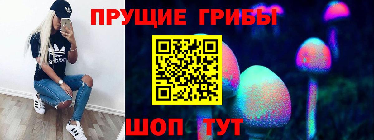 купить наркоту  Галлюциногенные грибы MAGIC MUSHROOMS  Вход с VPN  Вятские Поляны 