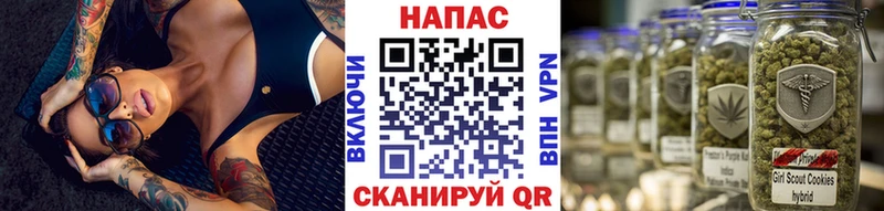магазин    Вятские Поляны  Канабис планчик 